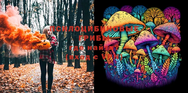 метадон Дмитриев
