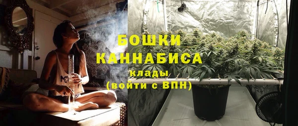 винт Протвино