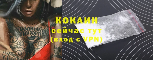 ешки Арсеньев