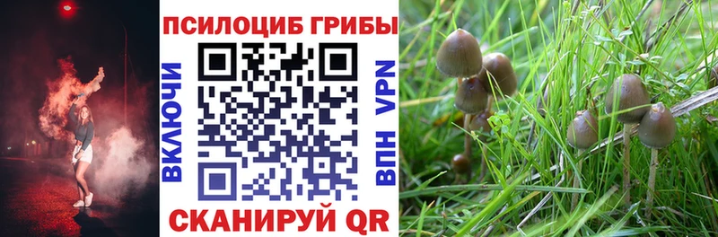 Галлюциногенные грибы Cubensis  Пересвет 